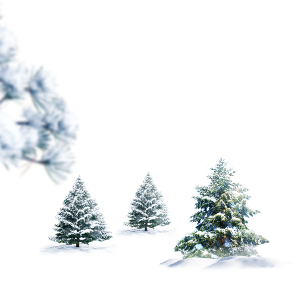 Transparent Snow Christmas Snowman Fir Pine Family for Christmas