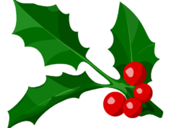 Transparent Christmas Day Christmas Graphics Christmas Tree Holly Leaf for Christmas