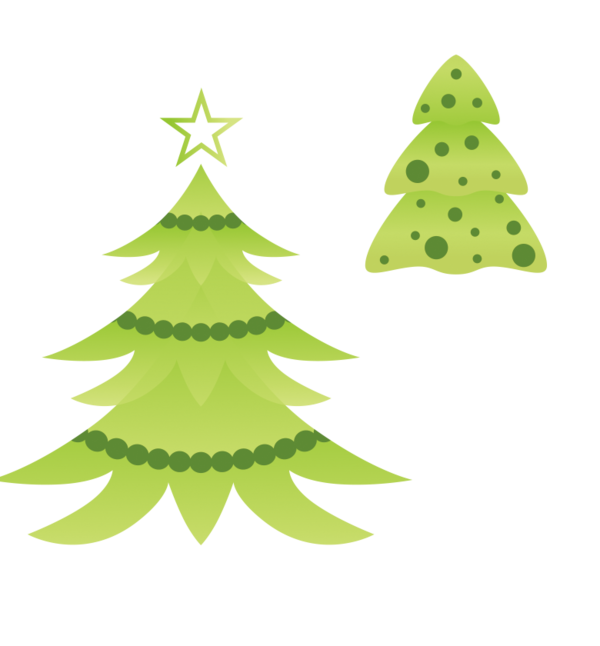 Transparent Balsam Fir Christmas Tree Drawing Fir Pine Family for Christmas