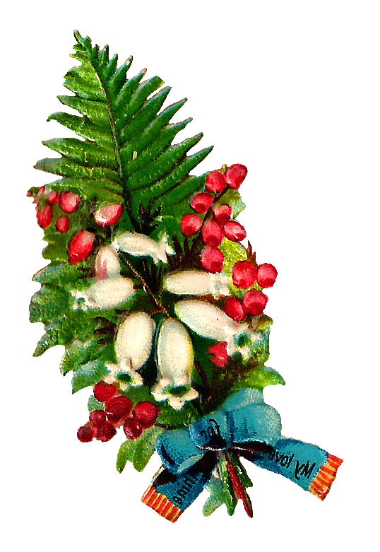 Transparent Christmas Decoration Evergreen Flower Pine Family for Christmas