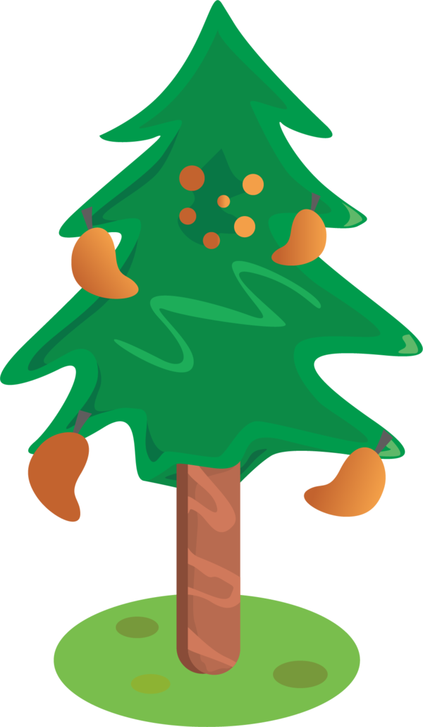 Transparent Tree Christmas Citrus Xd7 Sinensis Fir Pine Family for Christmas