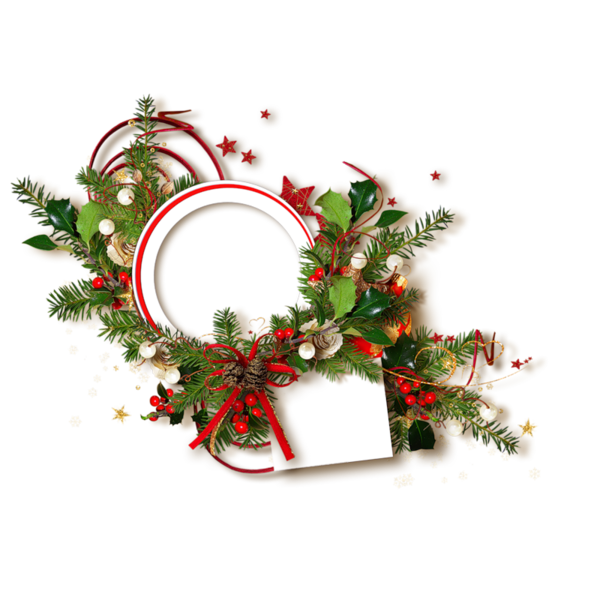 Transparent Christmas Day New Year Cdr Christmas Decoration Holly for Christmas