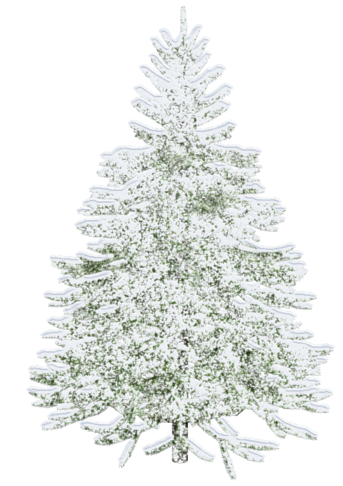 Transparent Christmas Tree Light Tree Fir Pine Family for Christmas