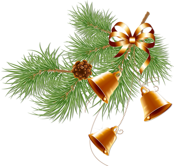 Transparent Christmas New Year Tree New Year Fir Pine Family for Christmas