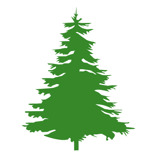 Transparent Tree Silhouette Pine Fir Pine Family for Christmas