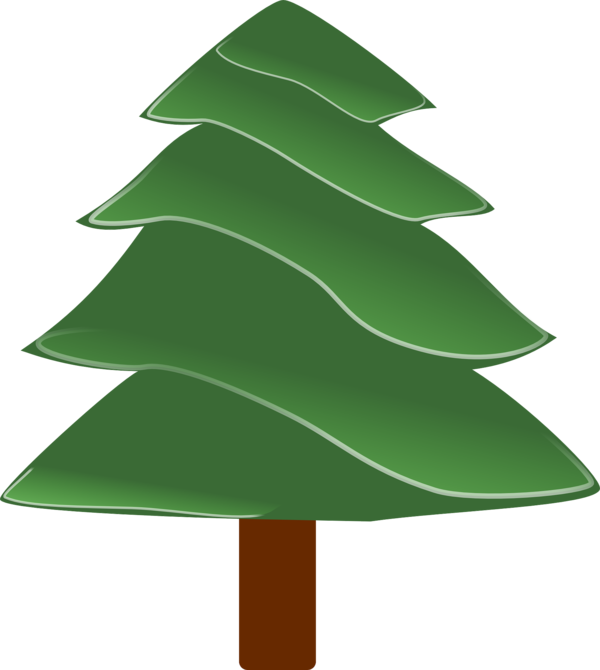 Transparent Fraser Fir Balsam Fir Pine Fir Pine Family for Christmas