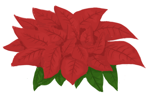Transparent Poinsettia Paper Blog Plant Flower for Christmas