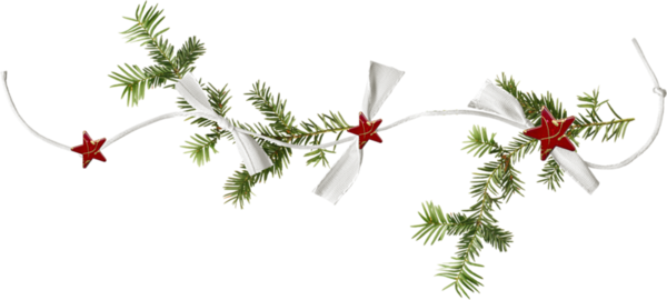 Transparent Christmas Christmas Ornament Blog Fir Pine Family for Christmas