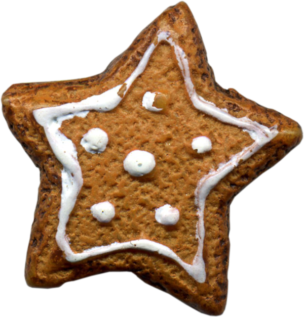 Transparent Lebkuchen Biscuit Jam Christmas Ornament for Christmas