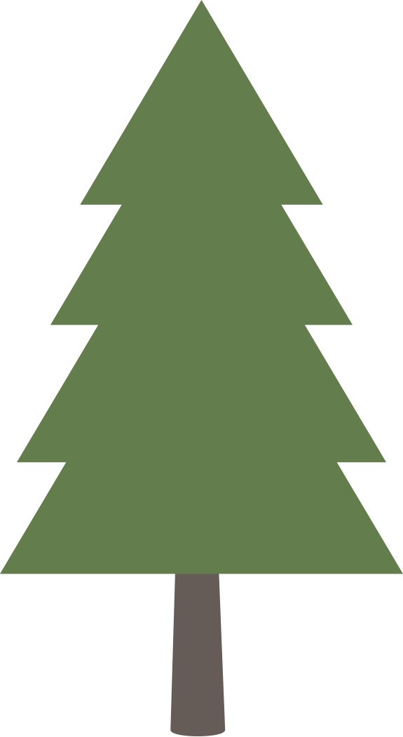 Transparent Pine Fir Tree Pine Family for Christmas