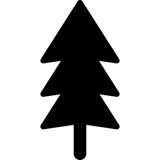 Transparent Fir Pine Christmas Tree Pine Family for Christmas