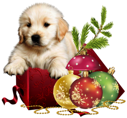 Transparent Christmas Bethlehem Man Dog Puppy for Christmas