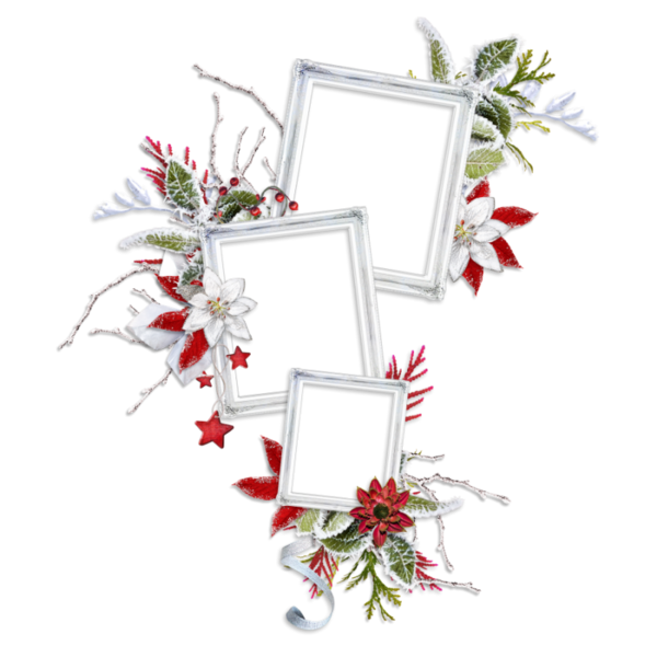 Transparent Floral Design Christmas Ornament Cut Flowers Flower Picture Frame for Christmas