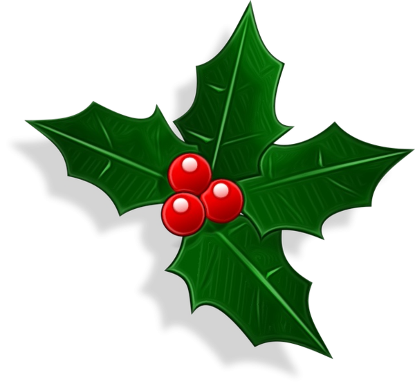 Transparent Common Holly Christmas Day Christmas Tree Holly Leaf for Christmas