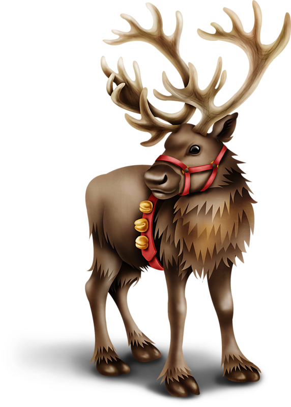 Transparent Reindeer Moose Deer for Christmas