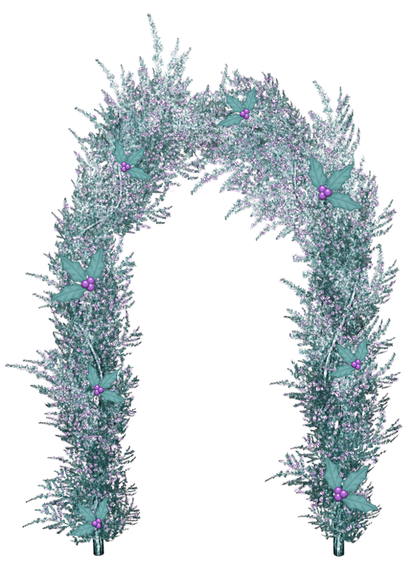 Transparent Blue Gratis Purple Fir Pine Family for Christmas