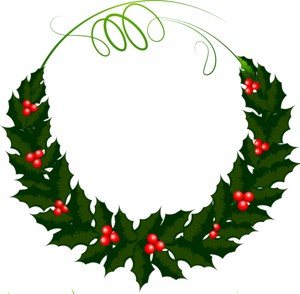 Transparent Holly Wreath Leaf Aquifoliaceae for Christmas