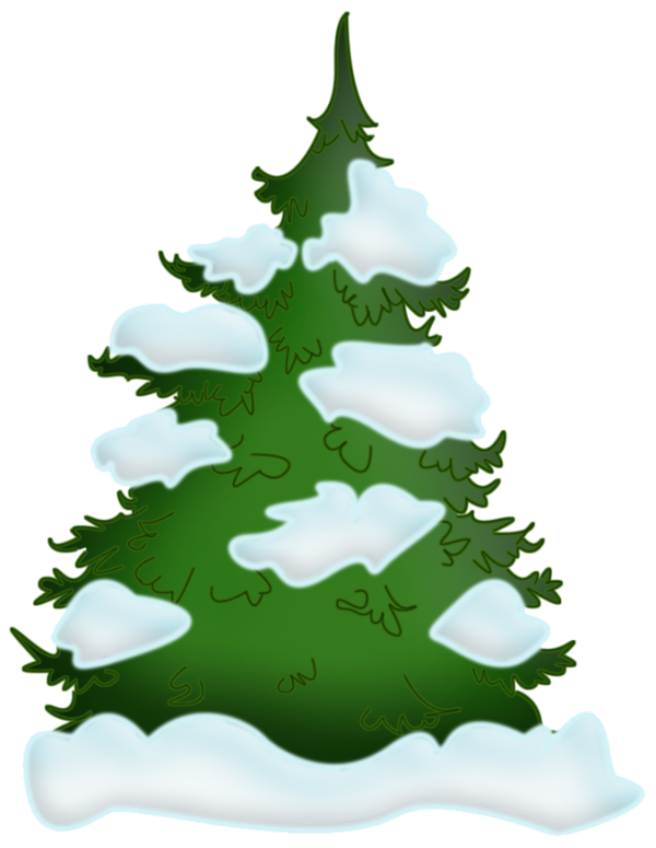 Transparent New Year Holiday Christmas Fir Pine Family for Christmas