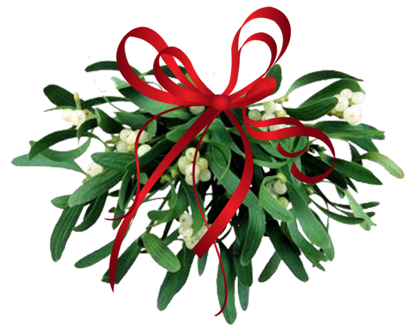Transparent Mistletoe Christmas Holly Plant Flower for Christmas