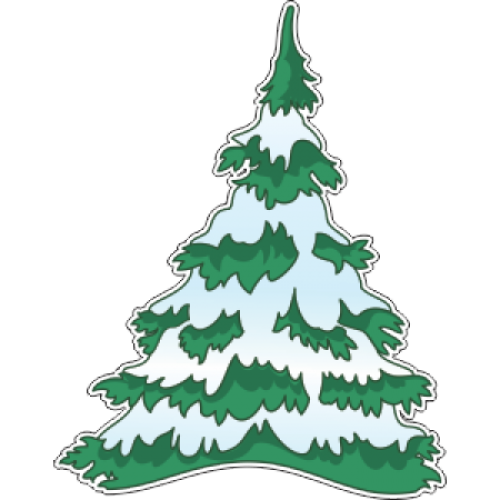 Transparent Pine Tree Eastern White Pine Fir Pine Family for Christmas