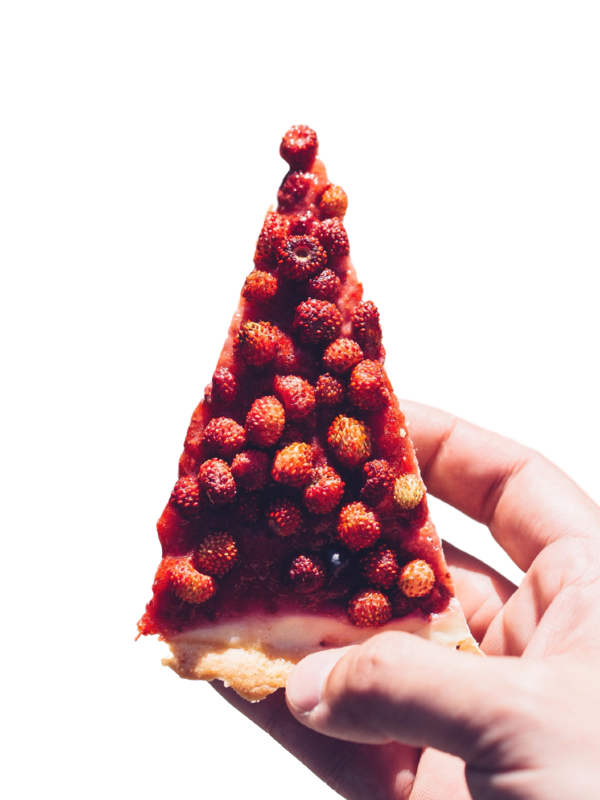 Transparent Food Photographer Fruit Christmas Tree Christmas Ornament for Christmas