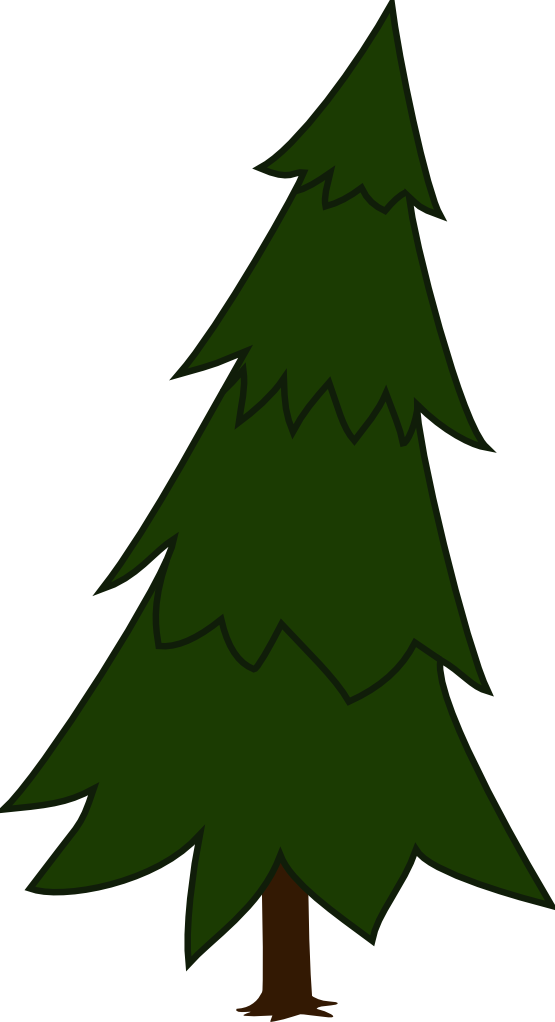 Transparent Pine Tree Spruce Fir Pine Family for Christmas