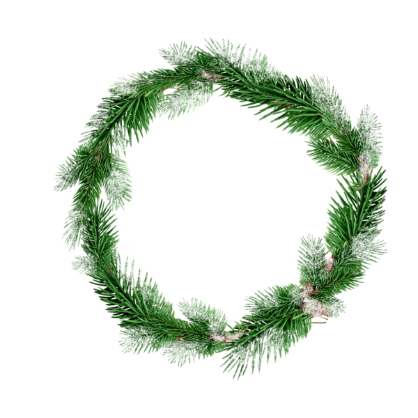 Transparent Branch Twig Christmas Ornament Fir Pine Family for Christmas