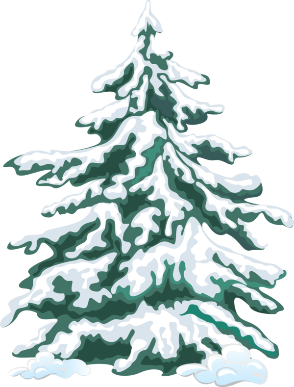 Transparent Tree Snow Pine Fir Pine Family for Christmas