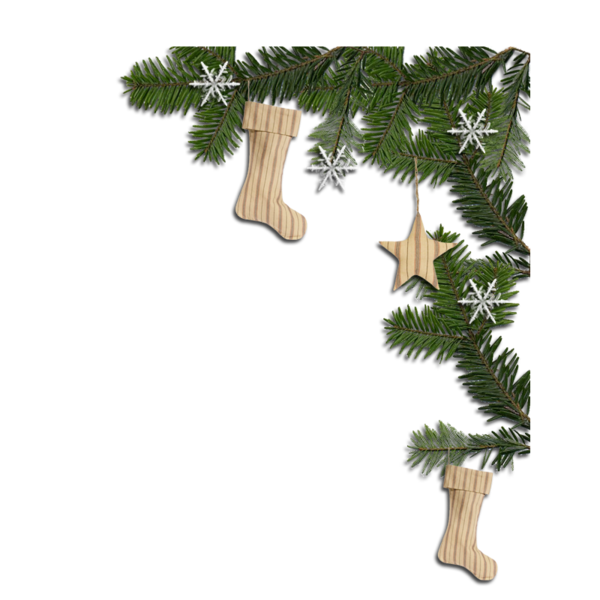 Transparent Christmas Christmas Ornament Christmas Tree Evergreen Fir for Christmas