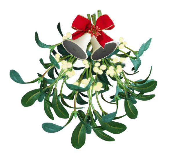 Transparent Mistletoe Kiss Kissing Traditions Plant Flower for Christmas