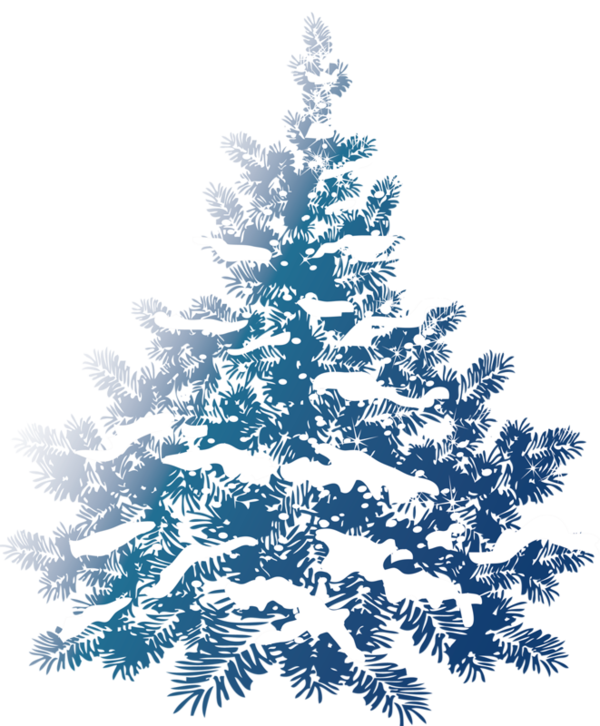 Transparent Christmas Tree Snow Pine Fir Pine Family for Christmas