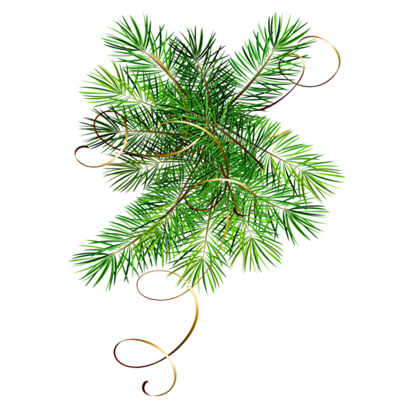 Transparent Christmas New Year Tree Blog Fir Pine Family for Christmas