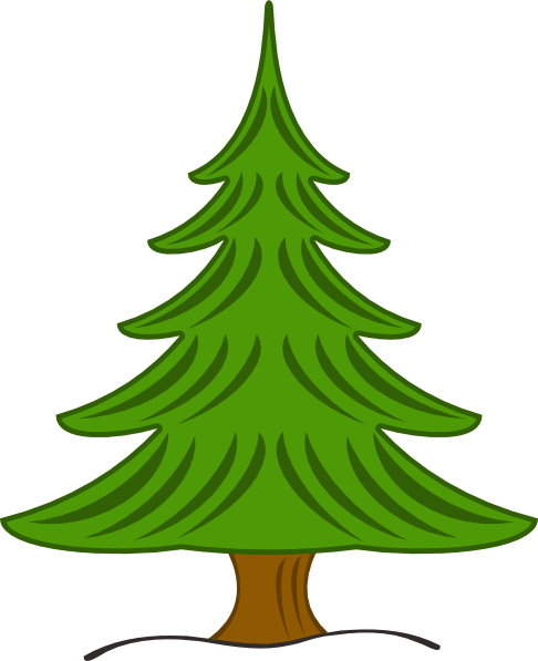 Transparent Pine Tree Evergreen Christmas Tree for Christmas