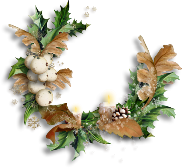 Transparent Christmas Ded Moroz New Year Flower Floral Design for Christmas