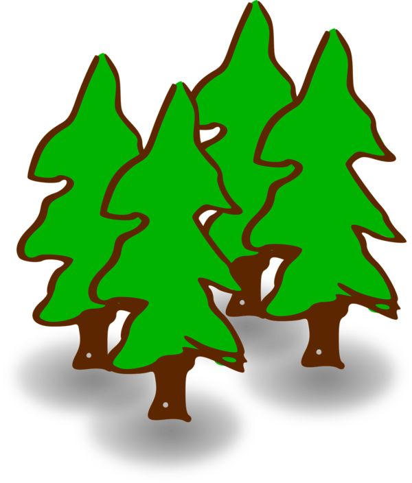 Transparent Tree Pine Forest Green for Christmas