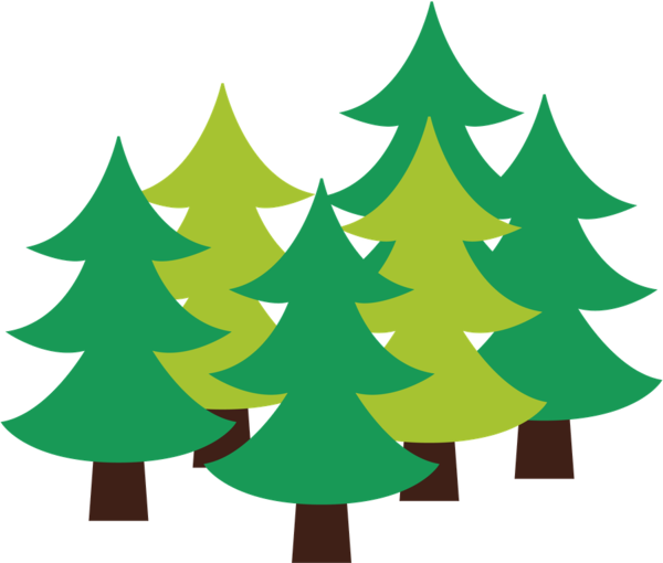 Transparent Christmas Tree Spruce Christmas Ornament Oregon Pine Colorado Spruce for Christmas