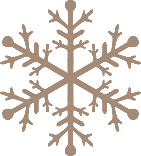 Transparent christmas Snowflake American larch Ornament for Snowflake for Christmas