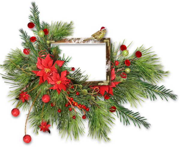 Transparent christmas oregon pine Colorado spruce Christmas decoration for Christmas Border for Christmas
