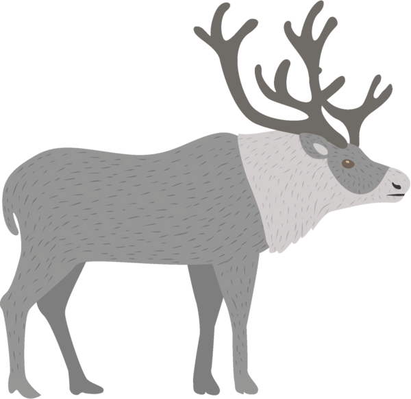 Transparent christmas Reindeer Elk Deer for Reindeer for Christmas