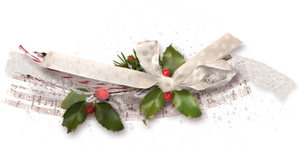 Transparent christmas Ribbon Holly Flower for Holly for Christmas