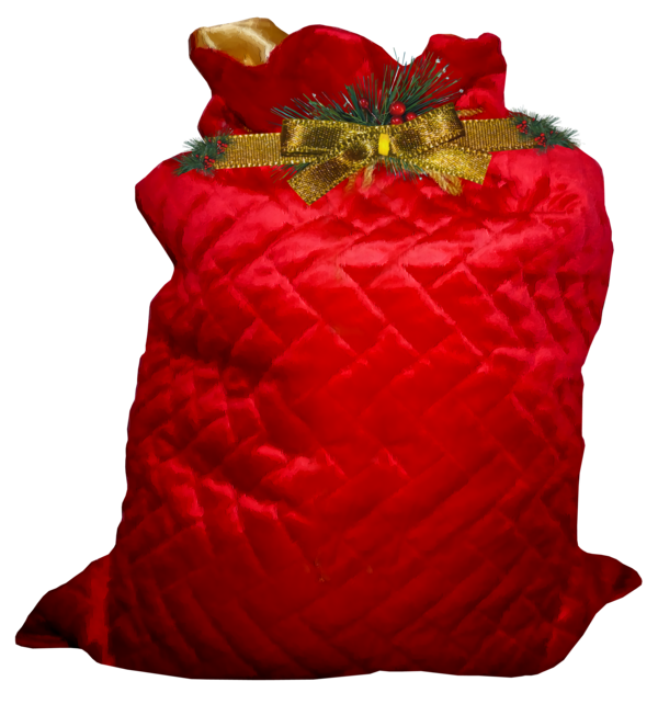 Transparent christmas Red Cushion Throw pillow for Christmas Gift for Christmas
