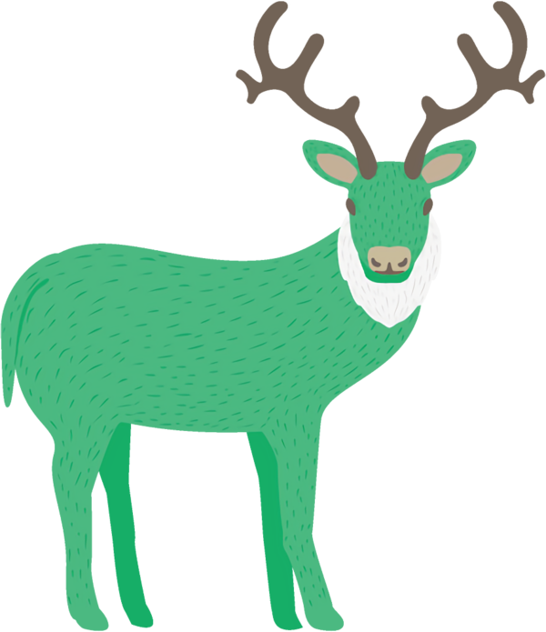 Transparent christmas Reindeer Deer Green for Reindeer for Christmas