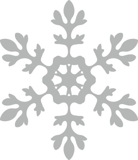 Transparent christmas Leaf Plant Pattern for Snowflake for Christmas