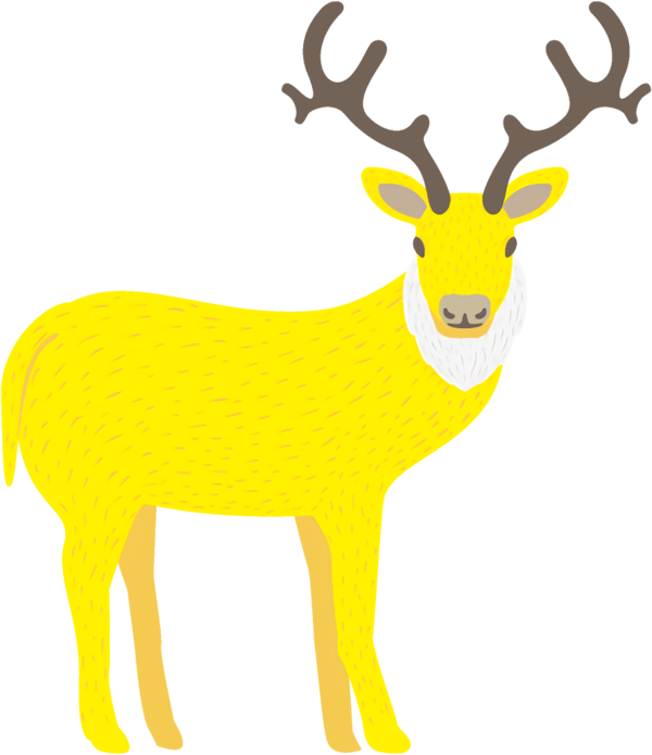 Transparent christmas Deer Yellow Reindeer for Reindeer for Christmas