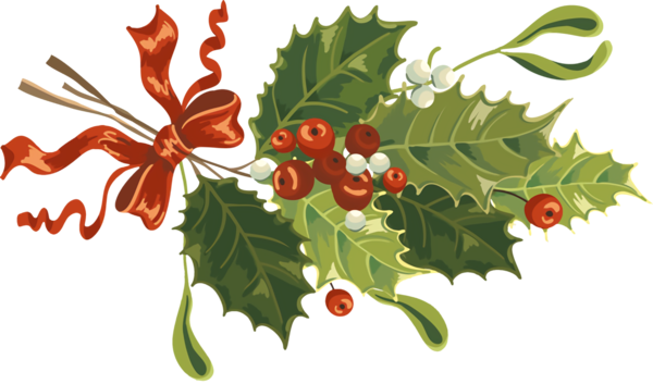 Transparent christmas Holly Plant Leaf for Holly for Christmas