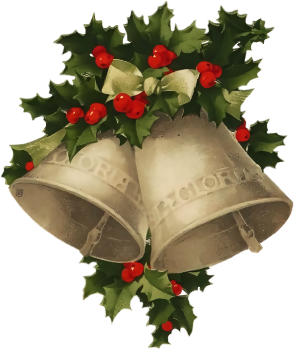 Transparent christmas Holly Flower Plant for Holly for Christmas