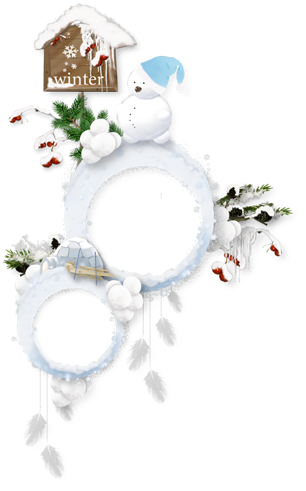 Transparent christmas Holly Snowflake for Christmas Border for Christmas