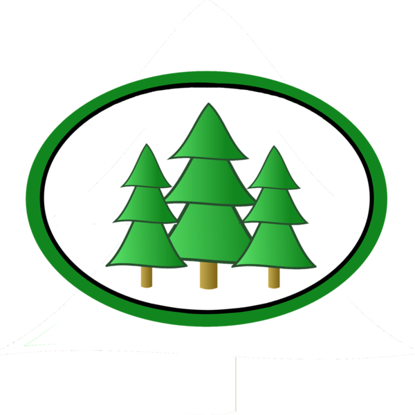 Transparent Christmas Tree Conifers Fir Green for Christmas