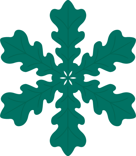 Transparent christmas Leaf Green Plant for Snowflake for Christmas