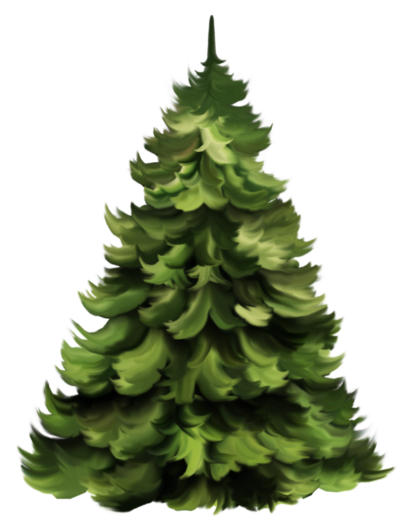 Transparent Santa Claus Christmas Tree Christmas Day Balsam Fir Shortleaf Black Spruce for Christmas